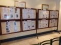 2013mostra5