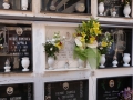 cimitero_5