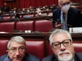 Roma_8